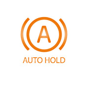 Auto Hold, Hill Start Assist - Audi A8 4N