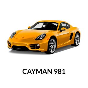 Cayman 981