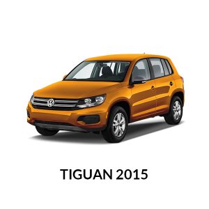 Tiguan 2015