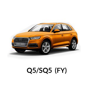 Q5/SQ5 FY